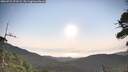 ./images/calvert/fitz-hugh-hecate/20260721/fitz-hugh-hecate20260721_073501M.jpg