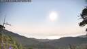 ./images/calvert/fitz-hugh-hecate/20260721/fitz-hugh-hecate20260721_081001M.jpg