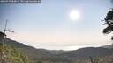 ./images/calvert/fitz-hugh-hecate/20260721/fitz-hugh-hecate20260721_084001M.jpg
