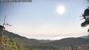./images/calvert/fitz-hugh-hecate/20260721/fitz-hugh-hecate20260721_085501M.jpg