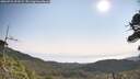 ./images/calvert/fitz-hugh-hecate/20260721/fitz-hugh-hecate20260721_093501M.jpg
