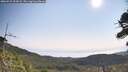 ./images/calvert/fitz-hugh-hecate/20260721/fitz-hugh-hecate20260721_095001M.jpg