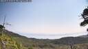 ./images/calvert/fitz-hugh-hecate/20260721/fitz-hugh-hecate20260721_103502M.jpg