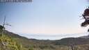 ./images/calvert/fitz-hugh-hecate/20260721/fitz-hugh-hecate20260721_104001M.jpg
