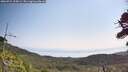 ./images/calvert/fitz-hugh-hecate/20260721/fitz-hugh-hecate20260721_105001M.jpg