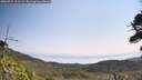 ./images/calvert/fitz-hugh-hecate/20260721/fitz-hugh-hecate20260721_111501M.jpg