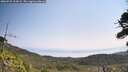 ./images/calvert/fitz-hugh-hecate/20260721/fitz-hugh-hecate20260721_112001M.jpg