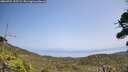 ./images/calvert/fitz-hugh-hecate/20260721/fitz-hugh-hecate20260721_135501M.jpg