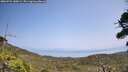 ./images/calvert/fitz-hugh-hecate/20260721/fitz-hugh-hecate20260721_140001M.jpg