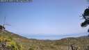 ./images/calvert/fitz-hugh-hecate/20260721/fitz-hugh-hecate20260721_145501M.jpg