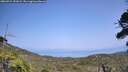 ./images/calvert/fitz-hugh-hecate/20260721/fitz-hugh-hecate20260721_151001M.jpg