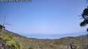 ./images/calvert/fitz-hugh-hecate/20260721/fitz-hugh-hecate20260721_151502M.jpg