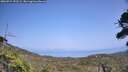 ./images/calvert/fitz-hugh-hecate/20260721/fitz-hugh-hecate20260721_152501M.jpg
