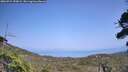 ./images/calvert/fitz-hugh-hecate/20260721/fitz-hugh-hecate20260721_153001M.jpg