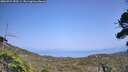 ./images/calvert/fitz-hugh-hecate/20260721/fitz-hugh-hecate20260721_153501M.jpg