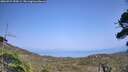 ./images/calvert/fitz-hugh-hecate/20260721/fitz-hugh-hecate20260721_154501M.jpg