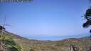 ./images/calvert/fitz-hugh-hecate/20260721/fitz-hugh-hecate20260721_162001M.jpg