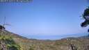 ./images/calvert/fitz-hugh-hecate/20260721/fitz-hugh-hecate20260721_162502M.jpg