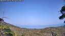 ./images/calvert/fitz-hugh-hecate/20260721/fitz-hugh-hecate20260721_163501M.jpg