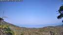 ./images/calvert/fitz-hugh-hecate/20260721/fitz-hugh-hecate20260721_164001M.jpg