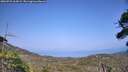./images/calvert/fitz-hugh-hecate/20260721/fitz-hugh-hecate20260721_164502M.jpg