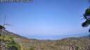./images/calvert/fitz-hugh-hecate/20260721/fitz-hugh-hecate20260721_165002M.jpg