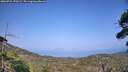 ./images/calvert/fitz-hugh-hecate/20260721/fitz-hugh-hecate20260721_170501M.jpg
