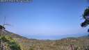 ./images/calvert/fitz-hugh-hecate/20260721/fitz-hugh-hecate20260721_171001M.jpg