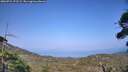 ./images/calvert/fitz-hugh-hecate/20260721/fitz-hugh-hecate20260721_172501M.jpg