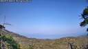 ./images/calvert/fitz-hugh-hecate/20260721/fitz-hugh-hecate20260721_180501M.jpg