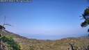 ./images/calvert/fitz-hugh-hecate/20260721/fitz-hugh-hecate20260721_181002M.jpg