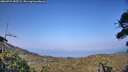 ./images/calvert/fitz-hugh-hecate/20260721/fitz-hugh-hecate20260721_185501M.jpg