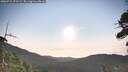 ./images/calvert/fitz-hugh-hecate/20260722/fitz-hugh-hecate20260722_072501M.jpg