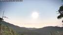 ./images/calvert/fitz-hugh-hecate/20260722/fitz-hugh-hecate20260722_073501M.jpg