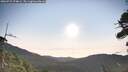 ./images/calvert/fitz-hugh-hecate/20260722/fitz-hugh-hecate20260722_074001M.jpg