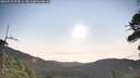 ./images/calvert/fitz-hugh-hecate/20260722/fitz-hugh-hecate20260722_074501M.jpg