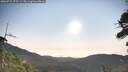 ./images/calvert/fitz-hugh-hecate/20260722/fitz-hugh-hecate20260722_075501M.jpg