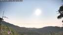 ./images/calvert/fitz-hugh-hecate/20260722/fitz-hugh-hecate20260722_080501M.jpg