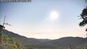 ./images/calvert/fitz-hugh-hecate/20260722/fitz-hugh-hecate20260722_081501M.jpg
