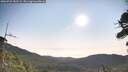 ./images/calvert/fitz-hugh-hecate/20260722/fitz-hugh-hecate20260722_082501M.jpg