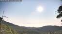 ./images/calvert/fitz-hugh-hecate/20260722/fitz-hugh-hecate20260722_083001M.jpg