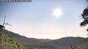 ./images/calvert/fitz-hugh-hecate/20260722/fitz-hugh-hecate20260722_083501M.jpg