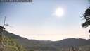 ./images/calvert/fitz-hugh-hecate/20260722/fitz-hugh-hecate20260722_084001M.jpg