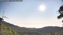 ./images/calvert/fitz-hugh-hecate/20260722/fitz-hugh-hecate20260722_084501M.jpg