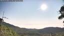 ./images/calvert/fitz-hugh-hecate/20260722/fitz-hugh-hecate20260722_085501M.jpg