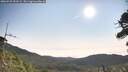 ./images/calvert/fitz-hugh-hecate/20260722/fitz-hugh-hecate20260722_090501M.jpg