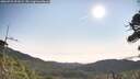 ./images/calvert/fitz-hugh-hecate/20260722/fitz-hugh-hecate20260722_091001M.jpg