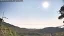 ./images/calvert/fitz-hugh-hecate/20260722/fitz-hugh-hecate20260722_091501M.jpg