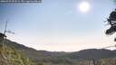 ./images/calvert/fitz-hugh-hecate/20260722/fitz-hugh-hecate20260722_092501M.jpg