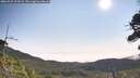 ./images/calvert/fitz-hugh-hecate/20260722/fitz-hugh-hecate20260722_094502M.jpg